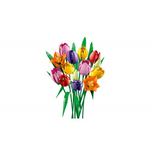 Конструктор LEGO Botanicals Tulip Bouquet (11501)
