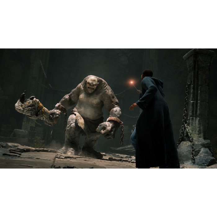 Игра для PS5 «Hogwarts Legacy» (рус.суб.)