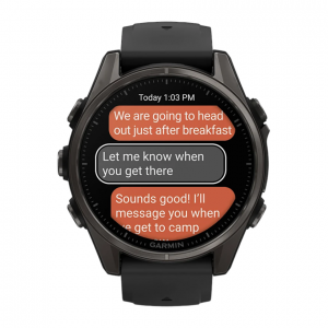Умные часы Garmin Fenix 8 43mm, Черный, Ремешок серый