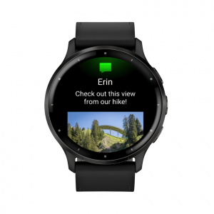 Умные часы Garmin Venu 3, Черный, Ремешок черный